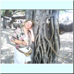 058_lahaina_banyon_tree_georgi.jpg